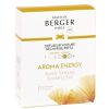 Cottage Kitchen LAMPE BERGER Scents | Lampe Berger-Sparkling Zest Car Diffuser Refill X2