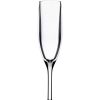 Cottage Kitchen BOLD Barware | Bold Drinkware- Revel Champagne 5.5Oz