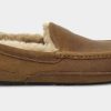 Men UGGS Slippers | Ugg- Mens Ascot Slipper