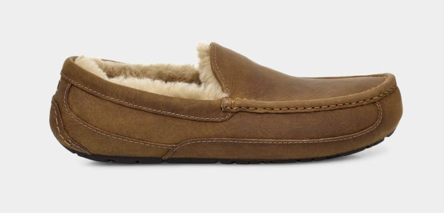 Men UGGS Slippers | Ugg- Mens Ascot Slipper