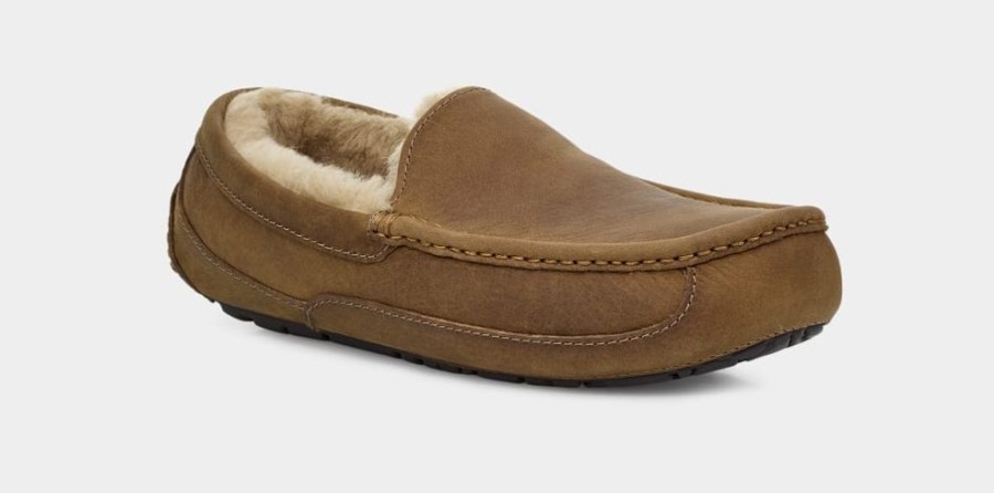 Men UGGS Slippers | Ugg- Mens Ascot Slipper