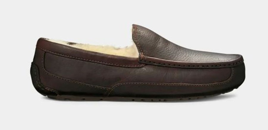 Men UGGS Slippers | Ugg- Men'S Ascot Slipper