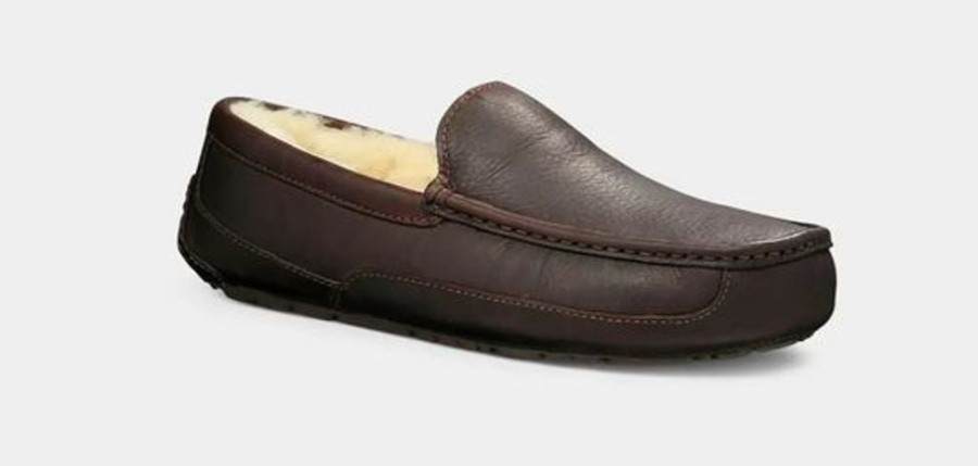 Men UGGS Slippers | Ugg- Men'S Ascot Slipper